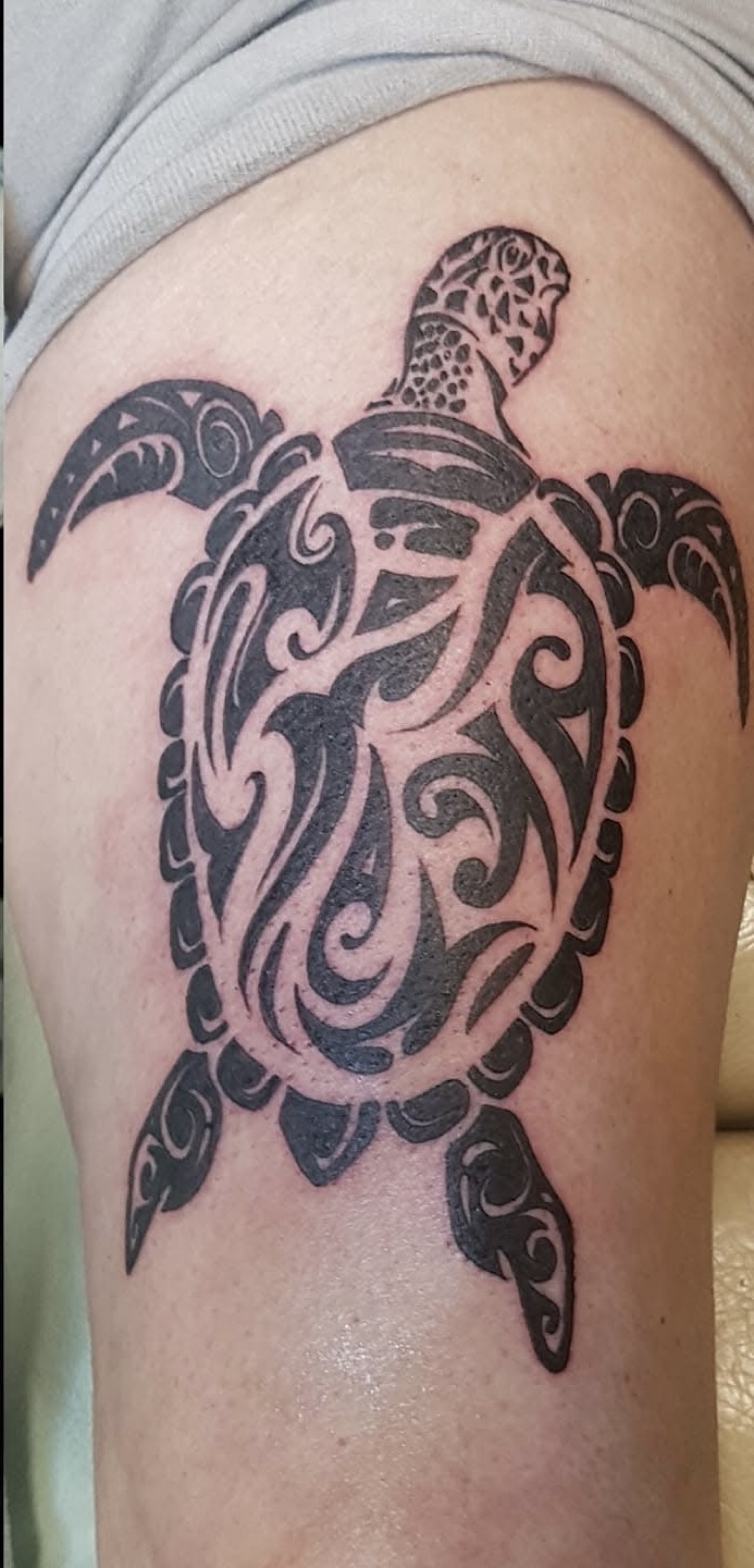 Tribal-Schildkröte